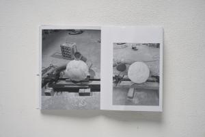 Hu0283.jpg