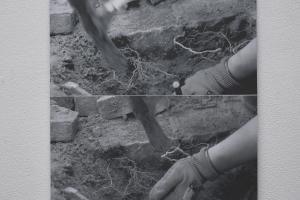 Hu0302.jpg