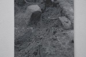 Hu0310.jpg